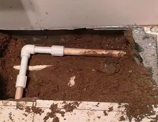 利津测漏水哪家好