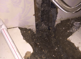 利津卫生间测漏水哪家好