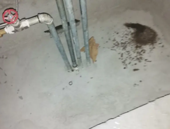 利津卫生间测漏水价格明细