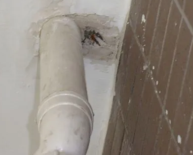 利津漏水检测哪家好